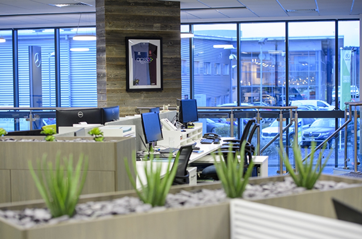 Benefits of a branded and creative office space - APPS Showcase